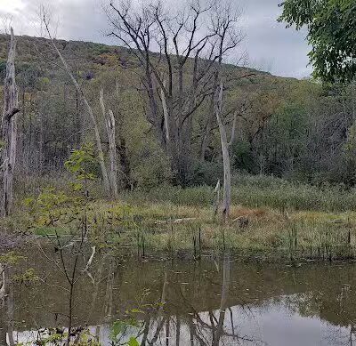 Woestina Park - Rotterdam Junction, NY