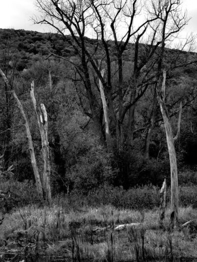 Woestina Park - Rotterdam Junction, NY