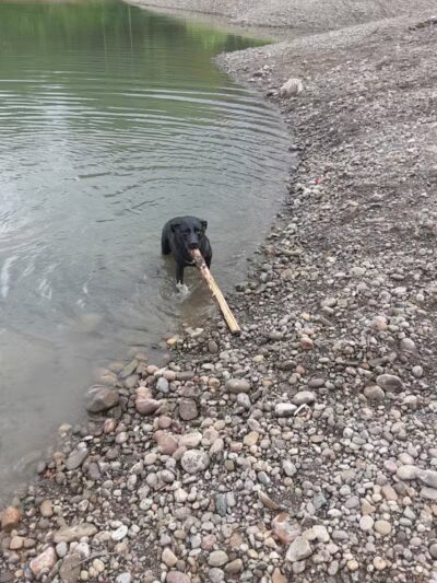 Woestina Park - Rotterdam Junction, NY