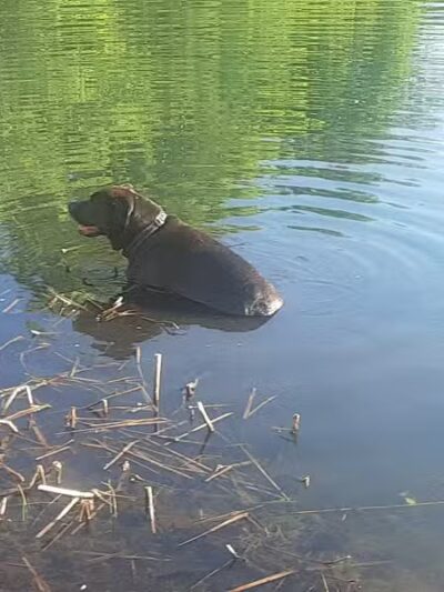 Woestina Park - Rotterdam Junction, NY