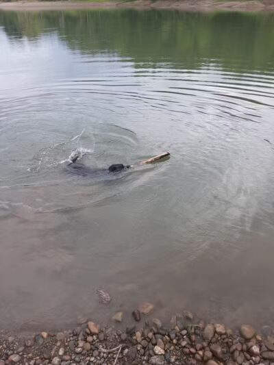 Woestina Park - Rotterdam Junction, NY