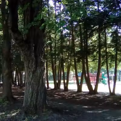 Juracka Park - Rotterdam, NY