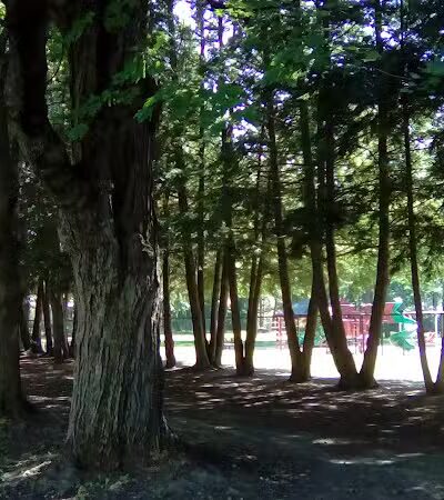 Juracka Park - Rotterdam, NY