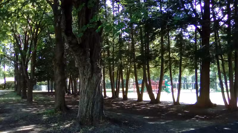 Juracka Park - Rotterdam, NY