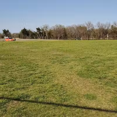 Scentral Dog Park - Rowlett, TX
