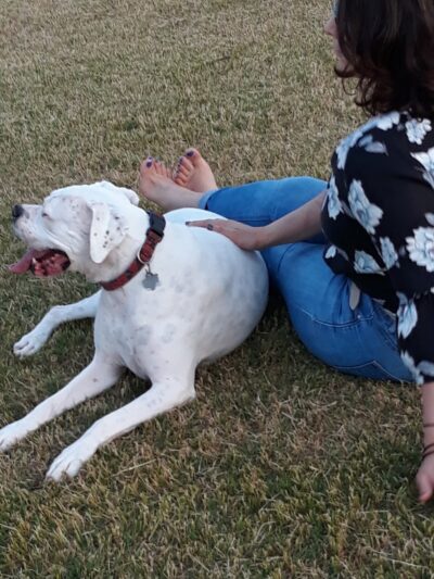 Scentral Dog Park - Rowlett, TX