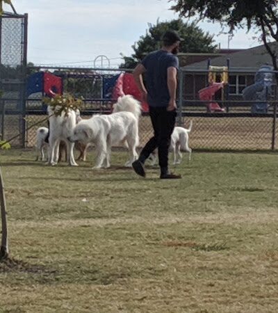 Scentral Dog Park - Rowlett, TX
