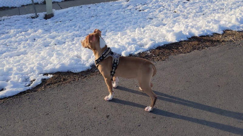 Roy Dog Park - Roy, UT