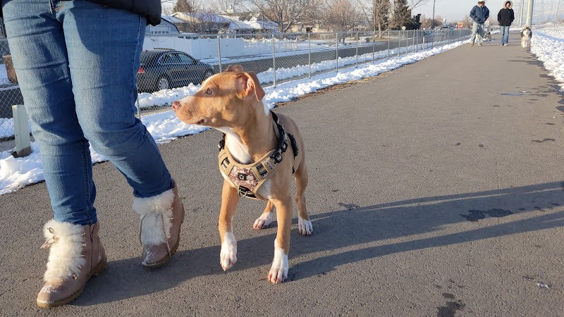 Roy Dog Park - Roy, UT