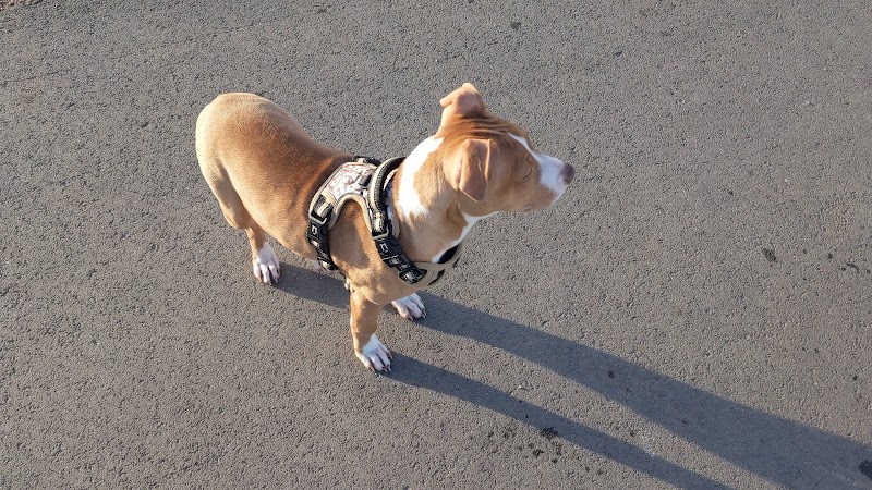 Roy Dog Park - Roy, UT