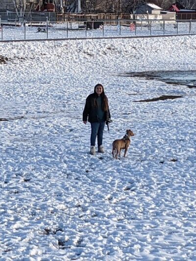 Roy Dog Park - Roy, UT