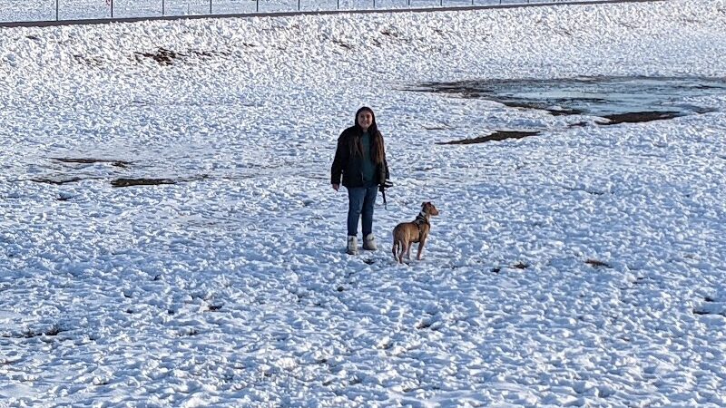 Roy Dog Park - Roy, UT