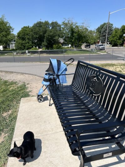 Roy Dog Park - Roy, UT