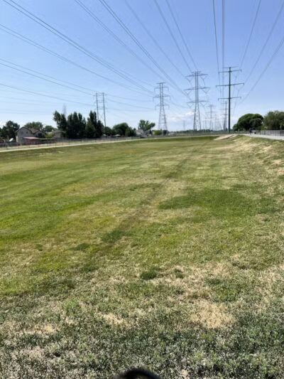 Roy Dog Park - Roy, UT