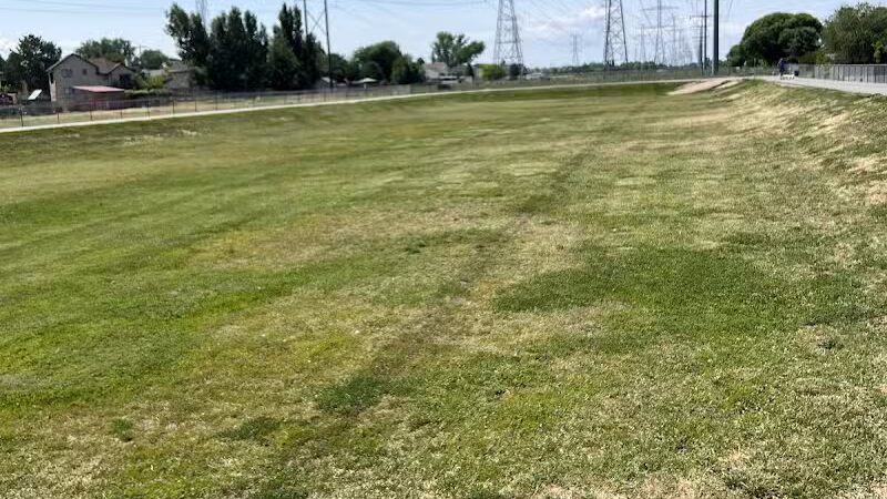 Roy Dog Park - Roy, UT