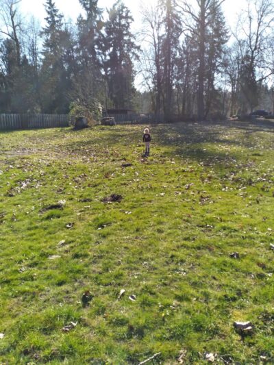 McKenna Park - Roy, WA