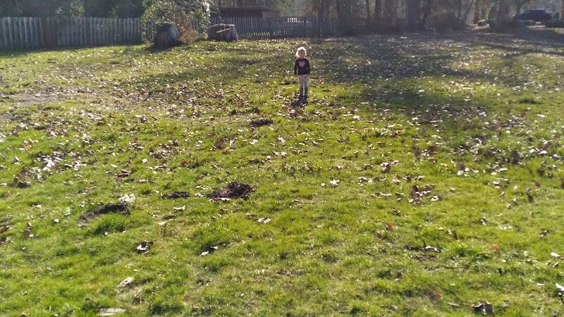 McKenna Park - Roy, WA