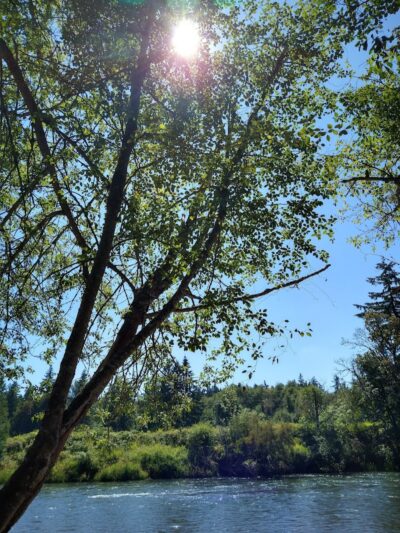 McKenna Park - Roy, WA