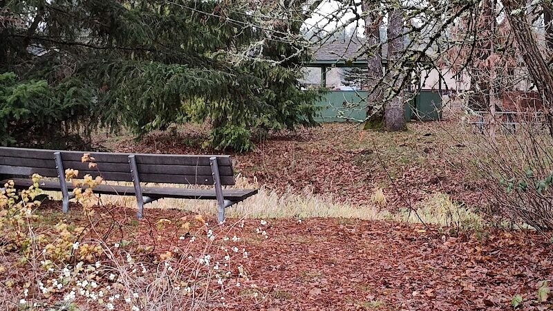 Roy City Park - Roy, WA