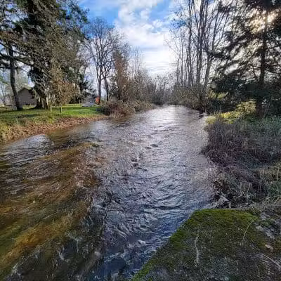 Roy City Park - Roy, WA