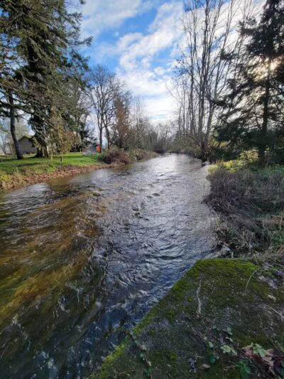Roy City Park - Roy, WA