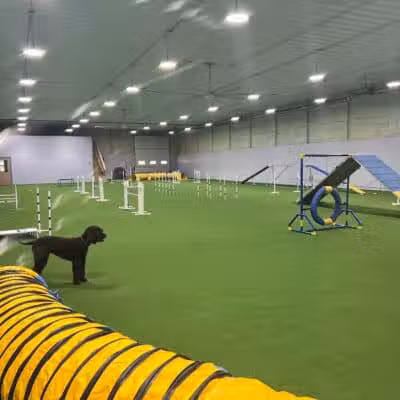 Dogs On The Run Training Club - Rushville, MO