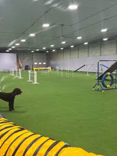 Dogs On The Run Training Club - Rushville, MO