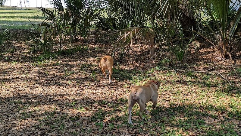 Dr Otts Off Leash Dog Sanctuary - Ruskin, FL