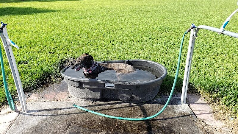 Dr Otts Off Leash Dog Sanctuary - Ruskin, FL