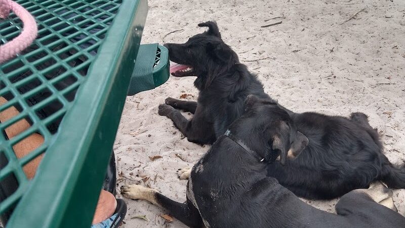 Dr Otts Off Leash Dog Sanctuary - Ruskin, FL