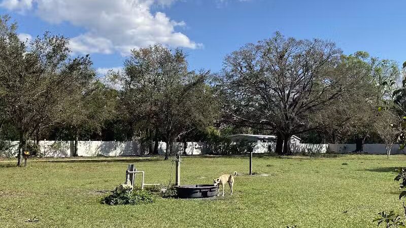 Dr Otts Off Leash Dog Sanctuary - Ruskin, FL