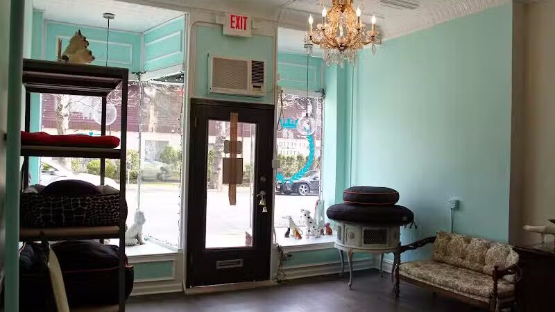 Le Petique Atelier LLC - Rutherford, NJ