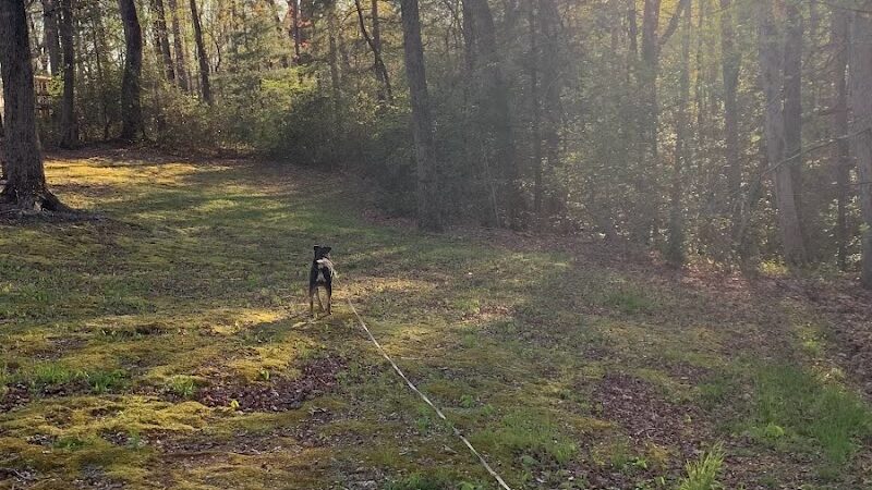 Carolina Canines (sniffspot private dog park rental with hiking and creek access)