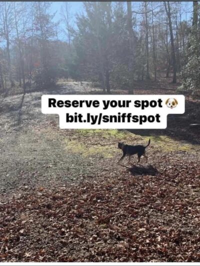 Carolina Canines (sniffspot private dog park rental with hiking and creek access)