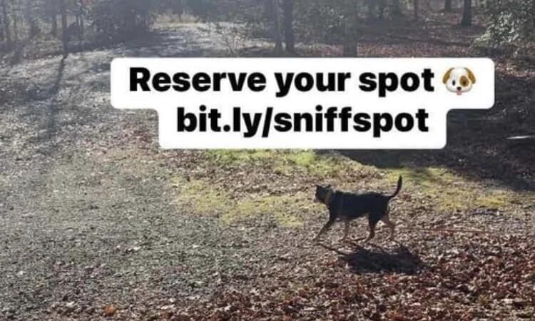 Carolina Canines (sniffspot private dog park rental with hiking and creek access)