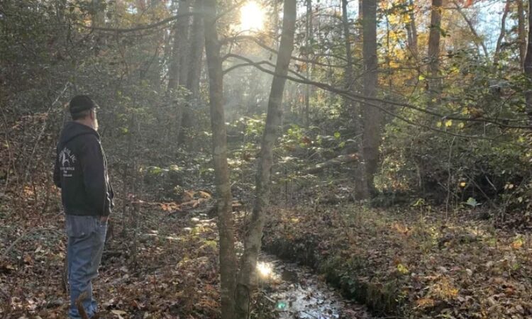 Carolina Canines (sniffspot private dog park rental with hiking and creek access)