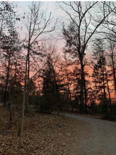 Carolina Canines (sniffspot private dog park rental with hiking and creek access)