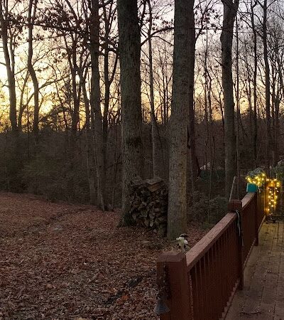 Carolina Canines (sniffspot private dog park rental with hiking and creek access)