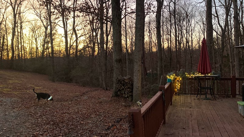 Carolina Canines (sniffspot private dog park rental with hiking and creek access)