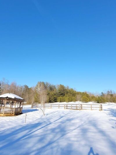 Four Paws Kingdom Campground & Dog Retreat