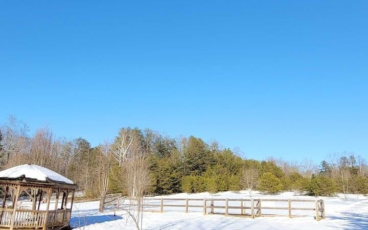 Four Paws Kingdom Campground & Dog Retreat