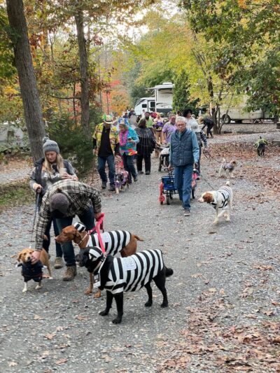 Four Paws Kingdom Campground & Dog Retreat