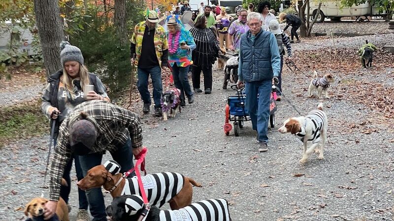 Four Paws Kingdom Campground & Dog Retreat