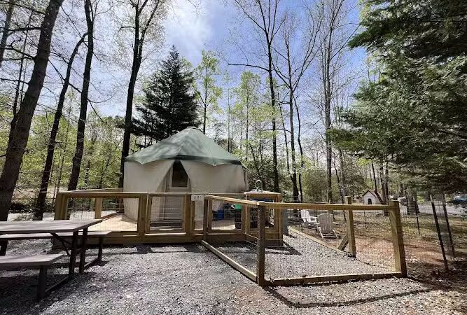 Four Paws Kingdom Campground & Dog Retreat