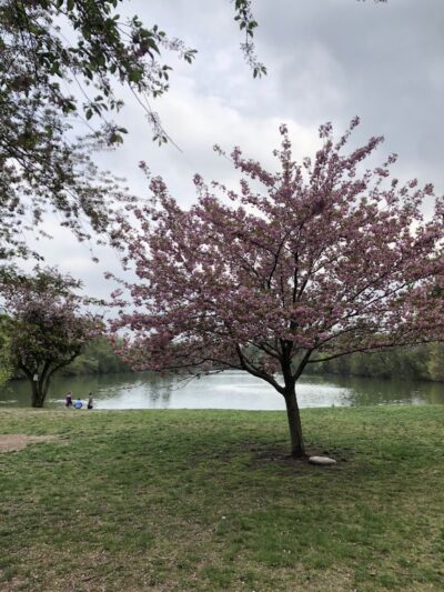 Saddle River County Park - Saddle Brook, NJ