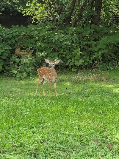 Saddle River County Park - Saddle Brook, NJ