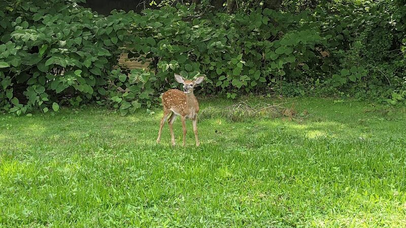 Saddle River County Park - Saddle Brook, NJ