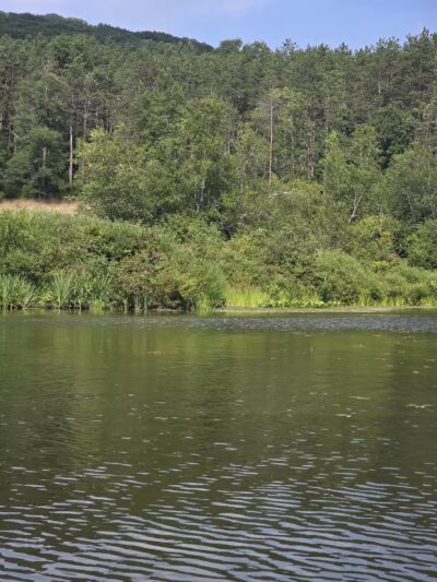 Allegany State Park - Salamanca, NY