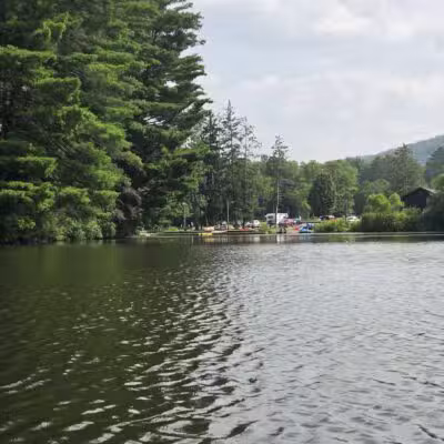 Allegany State Park - Salamanca, NY