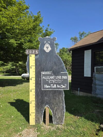 Allegany State Park - Quaker Rental Office - Salamanca, NY